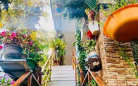 Mountain View Homestay