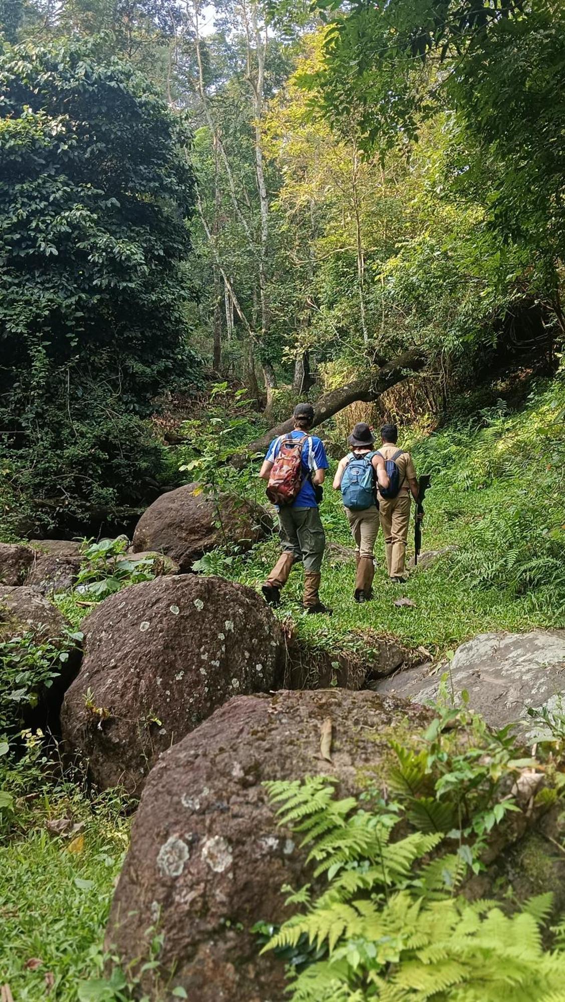 Mountain View Homestay Thekkady Esterno foto